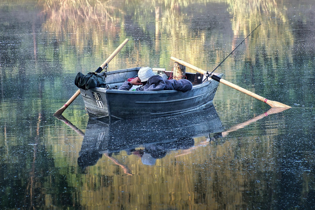 Peixe Dorme: Como Acontece e Curiosidades