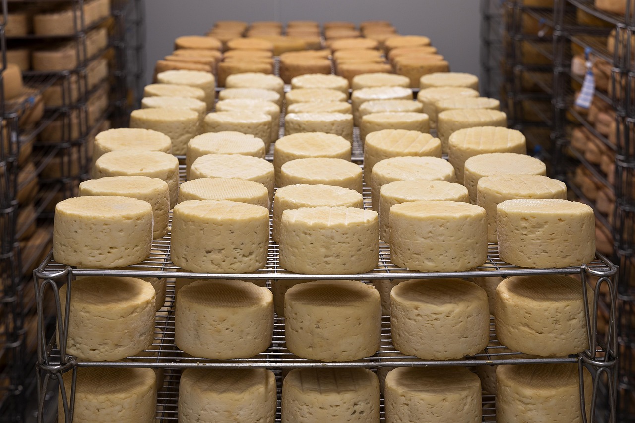 Queijo é remoso? Descubra como ele afeta sua saúde