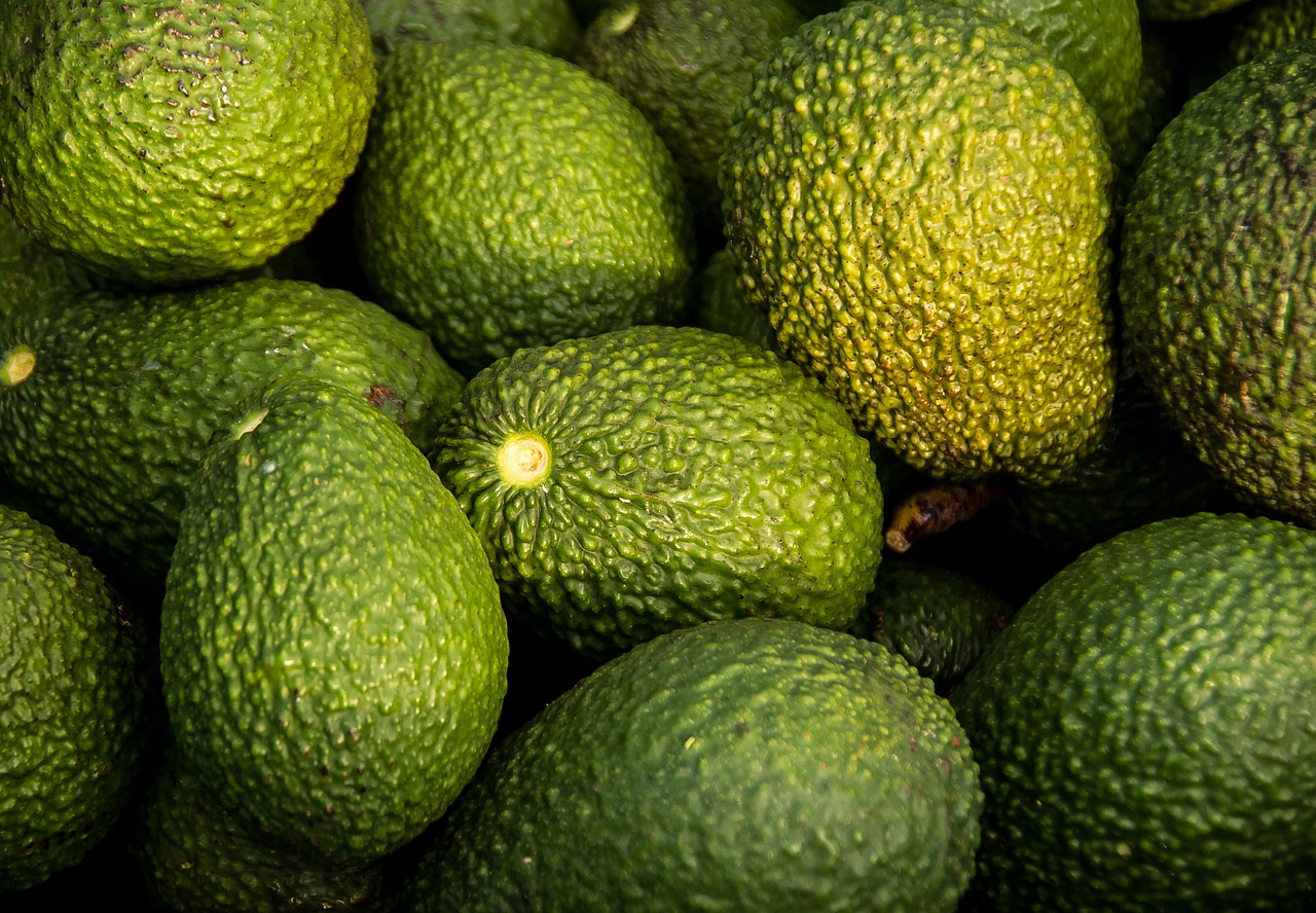 Você está visualizando atualmente Abacate é remoso? Descubra os mitos e verdades sobre a fruta