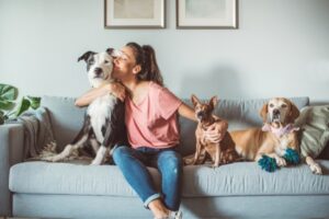 Leia mais sobre o artigo Como adaptar a casa para um pet idoso: conforto, segurança e acessibilidade