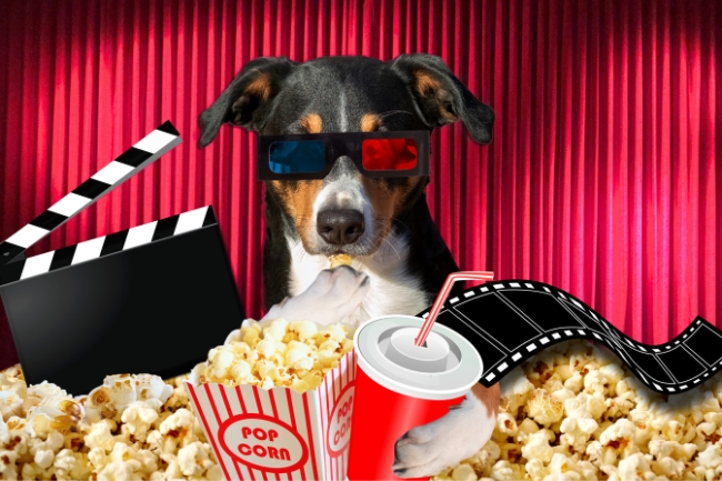 No momento, você está visualizando As Maiores Novidades do Cinema e Telona para 2025