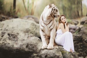 Leia mais sobre o artigo Maior Felino do Mundo: Características e Curiosidades