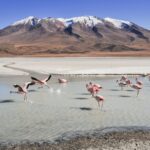 Neve Deserto: Fenômeno Raro e Surpreendente