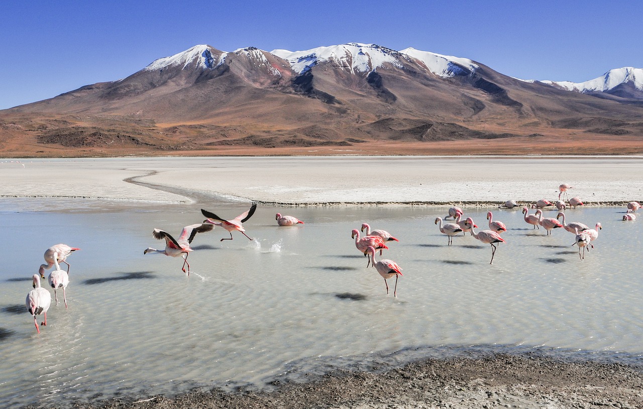 No momento, você está visualizando Neve Deserto: Fenômeno Raro e Surpreendente