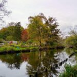 Moscas Verdes: Curiosidades e Perigos