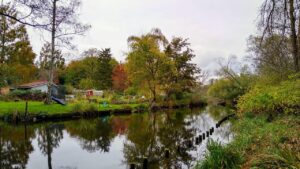 Leia mais sobre o artigo Moscas Verdes: Curiosidades e Perigos