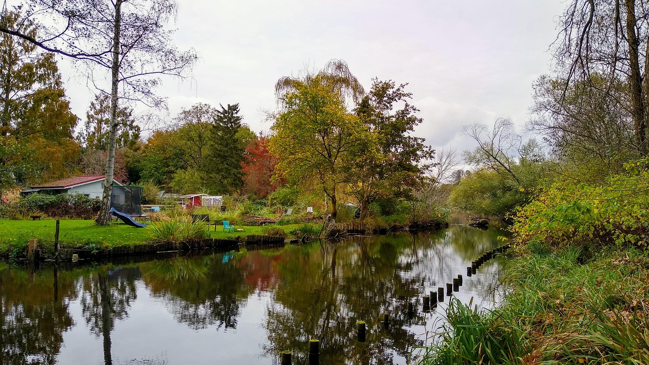 No momento, você está visualizando Moscas Verdes: Curiosidades e Perigos