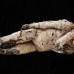 O Homem Sente Quando Solta o Líquido? Descubra