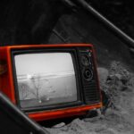 Cochonilha Vermelha: O Que É e Para Que Serve