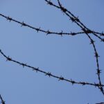 Gulags: História e Impacto