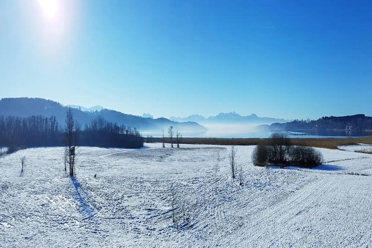 No momento, você está visualizando Secadores de cabelo profissionais: o que avaliar antes de investir em um modelo avançado