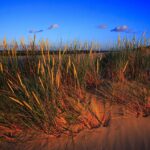 Areia Movediça: Como Funciona e Perigos