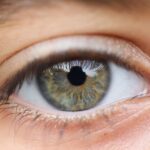 Qual é a Parte do Corpo Que Não Recebe Sangue: Curiosidade Anatômica